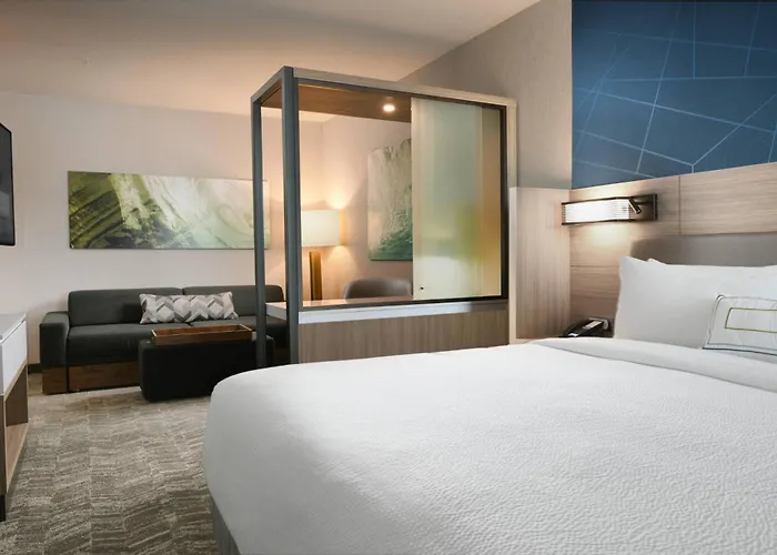 Springhill Dallas Dfw Airport South/centreport