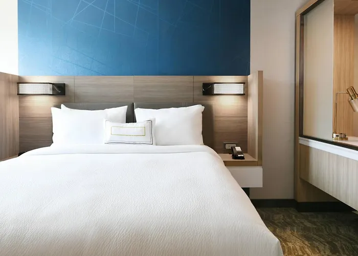 Hotel Springhill Dallas Dfw Airport South/centreport 3*