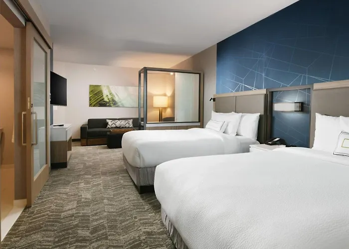 Springhill Dallas Dfw Airport South/centreport 3*