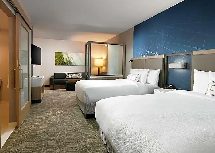 Hotel Springhill Dallas Dfw Airport South/centreport 3*