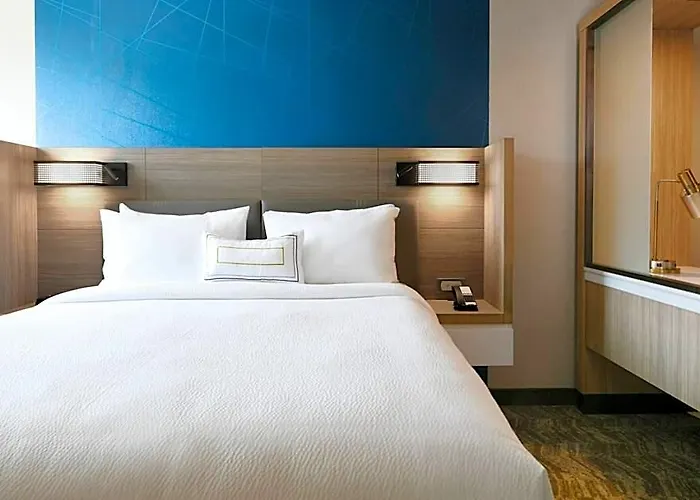 Springhill Dallas Dfw Airport South/centreport Hotel