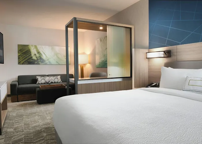 Hotel Springhill Dallas Dfw Airport South/centreport