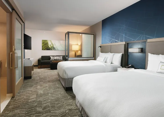 Springhill Dallas Dfw Airport South/centreport 3*