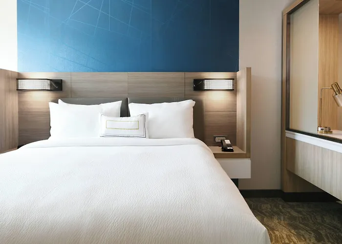 Hotel Springhill Dallas Dfw Airport South/centreport 3*